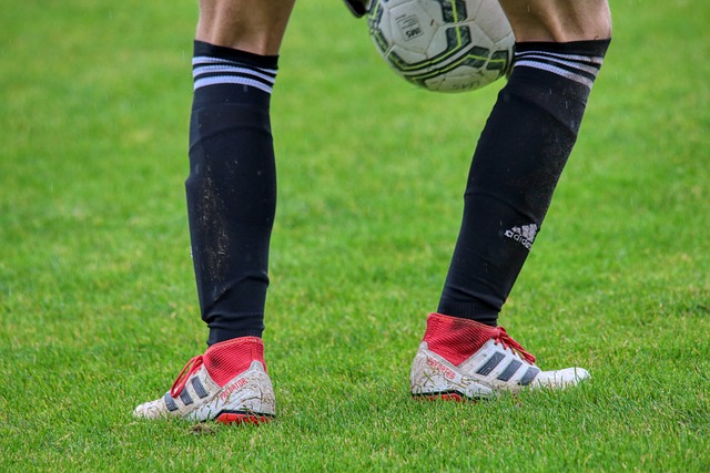 亚精英赛半场：陈威屡献神扑力保城池，海港0-0柔佛新山